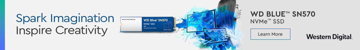 DJ1489 WD Blue NVMe SSD